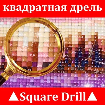 Celoten Kvadratni vaja 5D DIY Diamond vezenje Sončnično področju Diamond Slikarstvo Navzkrižno Šiv Nosorogovo Mozaični okras
